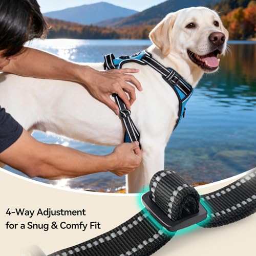 PHOEPET No Pull Dog Harness Medium Reflective Front Clip Puppy Vest with Handle,Adjustable 2 Metal Leash Attachment Hooks(M, Blue) - color: Blue, size: Medium