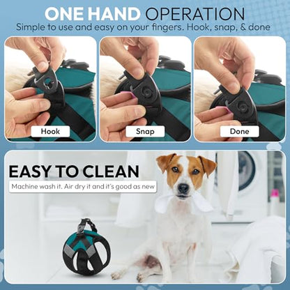 Gooby Soft Mesh X Step in Dog Harness - Turquoise, X-Small - color: Turquoise, size: X-Small