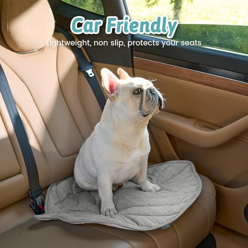 Cooling Mat/Pad/Blanket for Dogs & Cats Indoor — Fabric, Non-Gel, Non-Electric, Q-Max > 0.4 Leaf Shaped Pet Pad, Waterproof Summer Sleep Mat, 39x34inch, Silver Grey