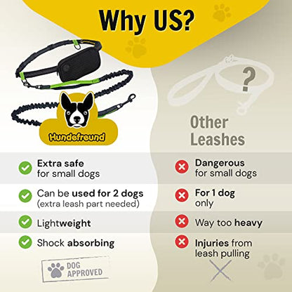 Hundefreund Hands-Free Dog Leash for Small Dogs 10 to 30 lbs - Lightweight Waist Leash with Bungee (43–63"), Padded Belt (26–47") & Pouch – Dual Handles, Reflective Stitching for Walking & Jogging