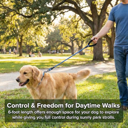 Dog Leash for Medium,Large and Small Dogs,Heavy Duty,Durable Rope,Lightweight Design for Walking,Training,and Outdoor Activities,Pack of 2 Leash,Black and Blue,6Ft,1/2 inch - color: 2PCS-Black+Blue
