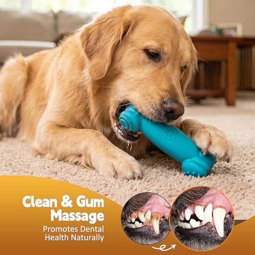 KXK Dog Toys for Aggressive Chewers - 2 Pack Indestructible Nylon Chew Bones with Frozen Enrichment Treat Dispenser & Teeth Cleaning to Keep Dogs Busy, for Pitbull, Large & Medium Breeds - color: Green & Red