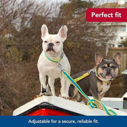 Coastal Pet - Pro - Reflective Adjustable Dog Collar, Bright Green with Grey, 3/4" x 10"-14" - color: Bright Green with Grey, size: 3/4" x 10"-14" (Pack of 1)