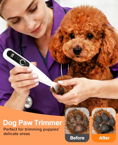 IREDOON 2026 New Pet Precision Trimmer, 35dB Low-Noise Dog Paw Trimmer with LED Light, Safe Curved Ceramic Blade Electric Pet Paw Grooming Kit for Dogs & Cats Paw, Ear, Face, Butt, Eyebrows