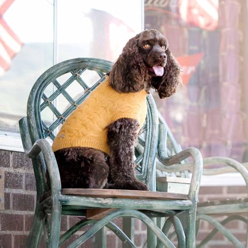 Blueberry Pet Classic Fuzzy Textured Knit Pullover Crew-Neck Dog Sweater in Mustard Yellow, Back Length 16", Pack of 1 Clothes for Dogs - color: Mustard Yellow, Crew-neck, size: 16 inch