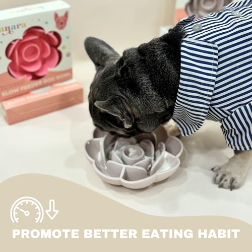 Hanara Sillicone Slow Feeder Dog Bowls & Lick Mat with Suction Bottom | Rose Petals Design | Promotes Better Digestion, Prevent Choking | Dish Washer Safe | Great Size for All Breed (Peach Beige) - color: Peach Beige
