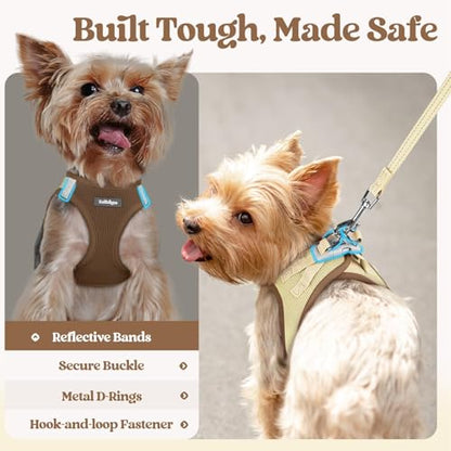 rabbitgoo Dog Harness Small Sized and Leash Set, Step in Soft Light Puppy Vest, Breathable Mesh Pet Harness, Reflective for Safe Easy Walking, Brown & Beige XXS - color: Brown & Beige, size: Xxs (chest: 12.4 - 14.2")