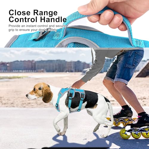 Beirui Escape Proof Dog Harness, No Pull Dog Harness,Reflective Dog Harness with Handle, Breathable,Durable, Adjustable Vest for Medium Dogs Outdoor Walking(Blue,Chest 19-25")