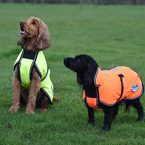 WeatherBeeta ComFiTec Reflective Parka 300D Deluxe Dog Coat, Yellow, 12" - color: Yellow, size: 12"