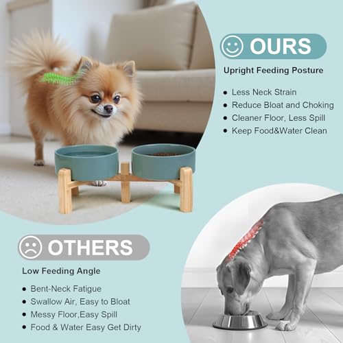SPUNKYJUNKY Elevated Dog Bowls Ceramic, 5.1'' Dogs and Cat Food Water Bowls Raised with Non-Slip Bamboo Stand for Puppy Small Sized Breed Microwave Dishwasher Safe - 13.5 OZ,Dark Green - color: Dark Green, size: 5.1 in - 1.7 cups