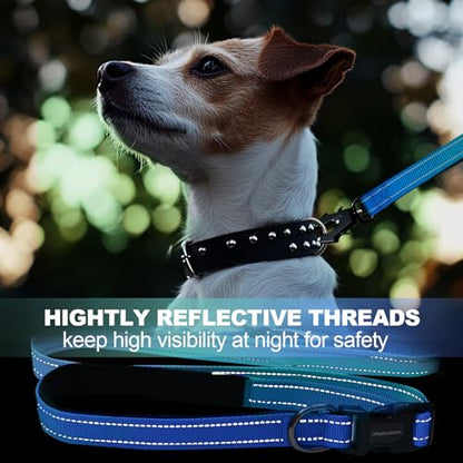 Heavy Duty Hands Free Dog Leash with Quick Release Carabiner and Adjustable No Pull Bungee Dog Running Waist Leash，for Walking and Training with Car Seat Belt 4-6FT (Aquamarine) - color: Aquamarine