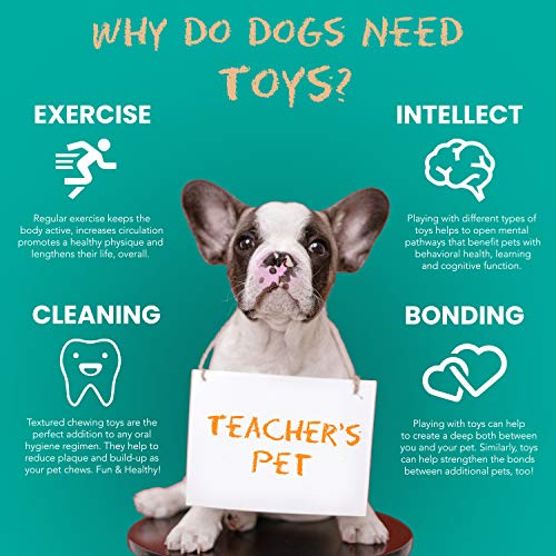 Fuzzy Puppy Dog Toys for Aggressive Chewers: All-Natural Rubber, Durable Dog Chew Toy, Great Teething Toys for Puppies | Three Ring Circus (FP-Toy01) - style: Three Rings