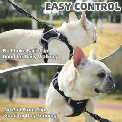PUPTECK Dog Harness Small Sized Dog, Step in Adjustable Reflective Dog Vest Harness Escape Proof, No Pull Soft Padded Harness Easy Control, Black, XS - color: Black, size: XS (CHEST: 11.5"-16")