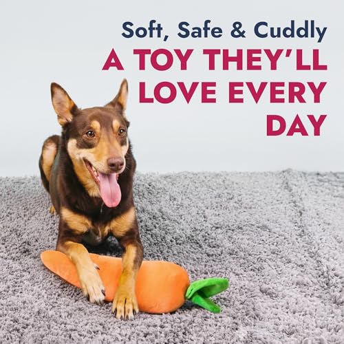 PetLou 15 Inch Carrot Plush Dog Toy for Soft Chewers, Durable Squeaky & Crinkle, Anti Boredom Chew Toy for Dogs, Cute Soft Stuffed Calming Indoor Pet Toy for All Dog Breeds