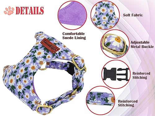 OaaXbbECco No Pull Floral Pattern Dog Harness,Soft Adjustable Dog Harness Vest and Dog Leash Set No Choke Escape Proof (Purple Daisy, XXS) - color: Purple Daisy, size: XXS