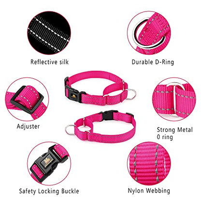 PLUTUS PET Reflective Martingale Collar with Quick Snap Buckle,No Pull Dog Choker Collar for Small Medium Large Dogs,XS,Hot Pink - color: Hot Pink, size: XS：10"-12"