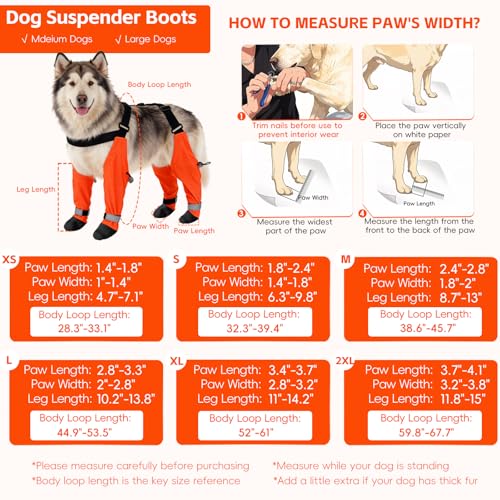 Dog Suspender Boots, Large Dog Rain Boots, Waterproof Dogs Boot Legging Pants, Anti-Slip Dogs Paw Protectors Stay-On Shoes with Suspenders for Outdoor Walk, Rain, Snow, Hike, Hot Pavement(L,Orangec) - size: Large