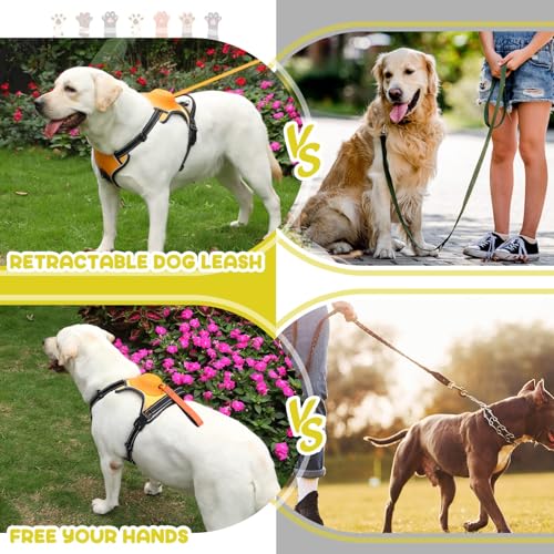 3-in-1 Dog Harness with Built-in Leash, Comfortable Dog Walking Harness with Extendable Lead, Heavy Duty Dog Harness for Large Dogs, Auto-Lock & Tug Control (Orange-M)
