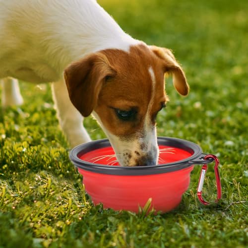 Dog Bowl Pet Collapsible Bowls for Travel，1 Pack for Cats Dogs Pets, BPA Free Portable Feeding Watering Dish Water Bowl with 2 Carabiner for Traveling Camping Walking - color: 1P-Red, size: Diameter 9"/350 Ml