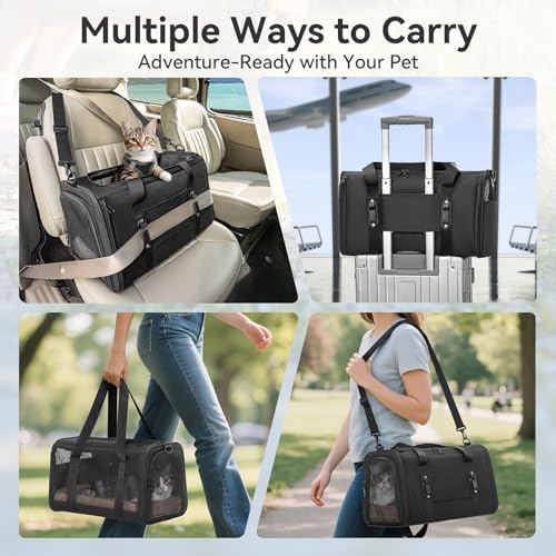 PETSFIT Soft-Sided Cat Carrier with Patented Safety Buckles, Lockable Zippers & Safety Tether,Escape-Resistant Travel Pet Carrier for Car Rides & Vet Visits, Airline Approved Under-Seat, Up to 12 lbs - color: Black, size: 18.0"L x 11.0"W x 11.0"H