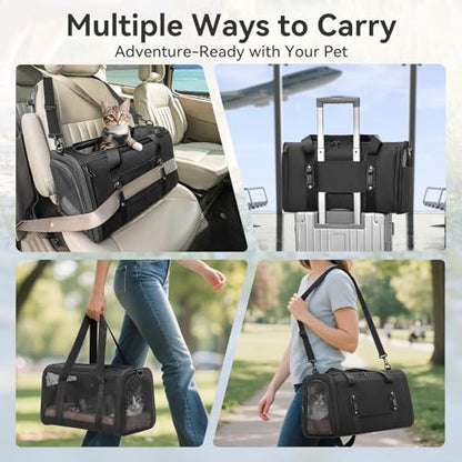 PETSFIT Soft-Sided Cat Carrier with Patented Safety Buckles, Lockable Zippers & Safety Tether,Escape-Resistant Travel Pet Carrier for Car Rides & Vet Visits, Airline Approved Under-Seat, Up to 12 lbs - color: Black, size: 18.0"L x 11.0"W x 11.0"H