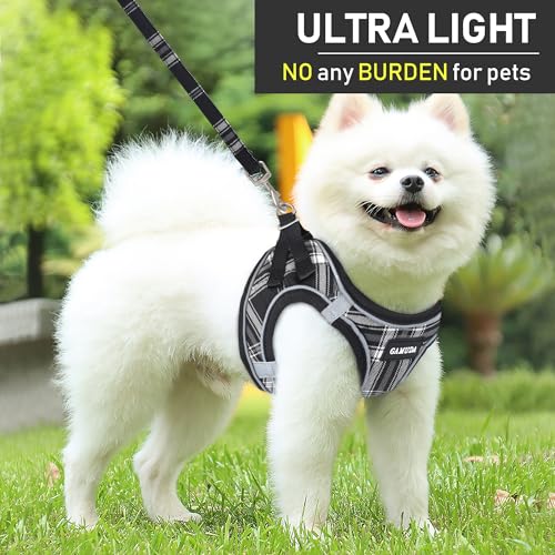 GAMUDA Small Dog Harness Collar and Leash Set, Step in No Chock No Pull Soft Mesh Adjustable Dog Vest Harnesses Plaid Reflective for Dogs Puppy Cats Kitten Rabbit (Black, XS) - color: Black, size: XS