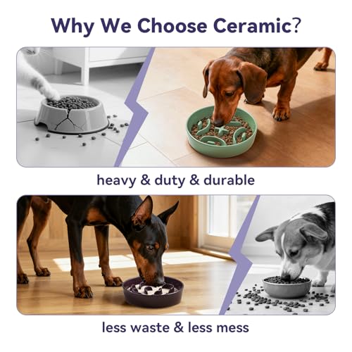Ceramic Slow Feeder Dog Bowl, 1.8 Cups Anti -Slip Slow Feeding Bowl to Slow Down Eating, 8.2 Inch Dog Food Dish for Medium to Large Breeds, Green - color: Green, size: Medium