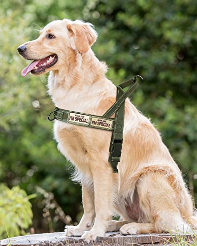 No Pull Dog Harness for Small Medium Large Sized Dogs, Escape Proof Adjustable Dog Harnesses with 2 Patch, Green Camo, L - color: Green Camo, size: L-Chest size 25-31''