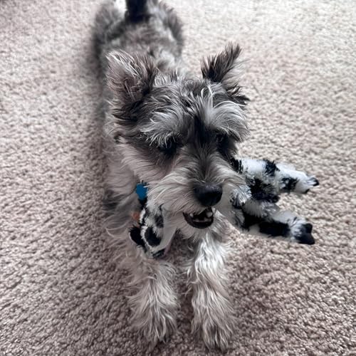 SPOT Skinneeez Crinklers Cow - Stuffing-Free Dog Toy with Crinkle & Squeaker Sounds, Durable for Moderate Chewers, Tug Toy for Small Dogs & Puppies, 14in - style: Small Cow