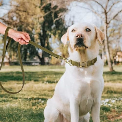 Personalized Dog Collars for Puppies, Custom Soft PU Leather Dog Collar with Engraved ID Name and Number, Adjustable & Durable Pet Collars with Quick Release Metal Buckle,XS(8-13") - color: Deep Green-Engraving, size: X-Small: Fit 8-13" Neck
