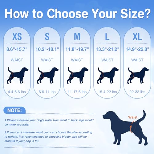 Ambreview Dog Diapers Female, Disposable Pull Up Dog Diapers, Doggie Diapers for Female Dogs, Ultra Absorbent & Anti-Side Leakage, Stretchy Diapers for Dogs in Heat/Elderly/Disabled(L,10 Count) - size: L(Waist 13.3"-21.2")