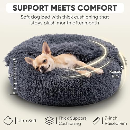 Himax Dog Beds for Small Dogs, Donut Dogs Beds with Blanket Attached, Calming Dog Bed Washable (20"/26"/35") Grey - color: Grey, size: 20.0"L x 20.0"W x 7.0"Th