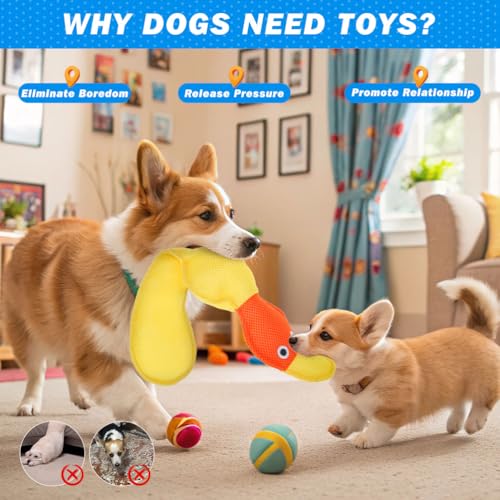 EXPAWLORER Floating Dog Water Pool Toys - 2 Pack Stuffed Duck Dog Toys Long, Pet Summer Essentials for Fetch & Training, Built-in Squeaky Ball Loud Sound for Small Medium Large Breeds, Yellow