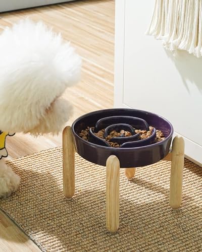LE TAUCI Ceramic Slow Feed Dog Bowls, Elevated for Small Breeds, Anti-Gulping, Non-Slip, 6 inch, Purple - color: Maze Purple+Stand, size: S-0.6 Cups