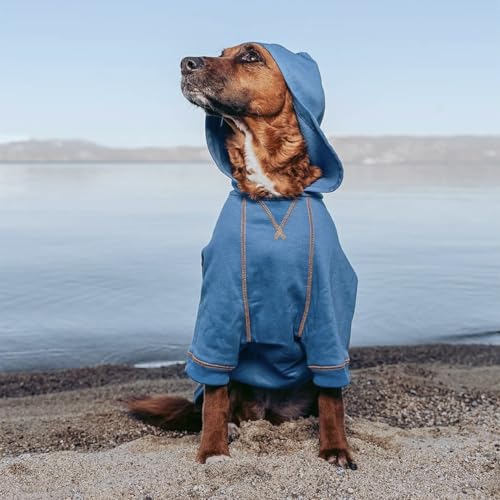 Blueberry Pet Essentials Hoodie – 10″ Cotton‑Blend Sweatshirt with Hood, Alaskan Blue, Machine‑Washable Dog Jersey - color: Dog Hoodie - Alaskan Blue, size: 10 inch (Pack of 1)