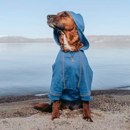 Blueberry Pet Essentials Hoodie – 10″ Cotton‑Blend Sweatshirt with Hood, Alaskan Blue, Machine‑Washable Dog Jersey - color: Dog Hoodie - Alaskan Blue, size: 10 inch (Pack of 1)
