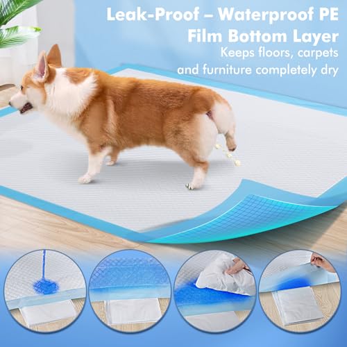 Puppy Pads XXXL 31"x 55" 40 Count,Pee Pads for Large Dogs & Multi-pet Families, Disposable Pet Training Pads for Doggie,Cat , Incontinence Underpads Ultra Absorbent & Quick-Dry, Leakproof Potty Pad - size: 31"x 55" Blue(40counts)