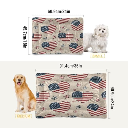 Independence Day Pattern Pet Bed Mat for Dogs and Cats, Soft Washable Crate Pad with Non-Slip Bottom, Cozy Bed Cushion for Small Medium Large Pets, 24x36 Inch - size: Medium