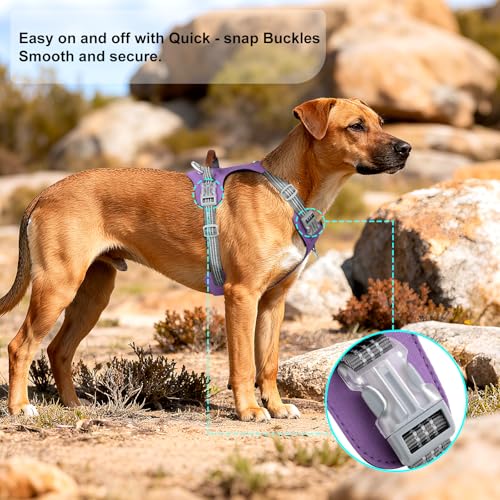 No Pull Dog Harness – Adjustable Reflective Nylon Vest for Small Medium Large Dogs, Escape Proof Training Harness with Leather Control Handle, Lightweight Aluminum Hardware (Purple, S) - color: Purple, size: S