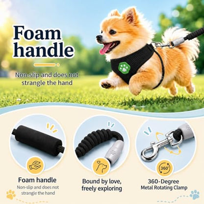 Dog Harness Small Sized and Leash Set, Step in Soft Light Puppy Vest, Breathable Mesh Pet Harness, Adjustable Pet Puppy Harness, Easy Walk Dog Harness, S: Chest 7.8-13.7" - color: Black, size: S: Chest 7.8-13.7" Leash 3.8 FT