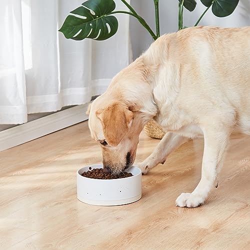 Oslo Ceramic Dog Bowl - 8'' Dog Food Water Bowl for Medium and Large Dogs, Heavy Duty Non-Slip Dog Dish, Modern Scandi-Style Stoneware Pet Feeder Bowl, Dishwasher Safe (70Oz, White) - size: 8 inch