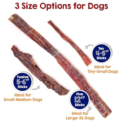Riley's Steer Bully Sticks for Large to XL Dog Breeds - Odor Free, Single Ingredient Treat - Easily Digestible, 100% Beef Pizzle Sticks for Dogs - 12", 5ct