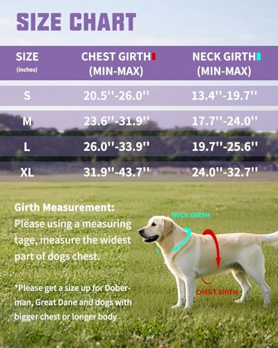 AUROTH Dog Harness and Leash Set, Soft Padded Service Dog Vest with 5.25FT Dog Leash, No Choke, Easy On Pet Vest, Adjustable Reflective No Pull Dog Harness Small Sized Dog, Easy Walking and Training - color: Purple, size: Small