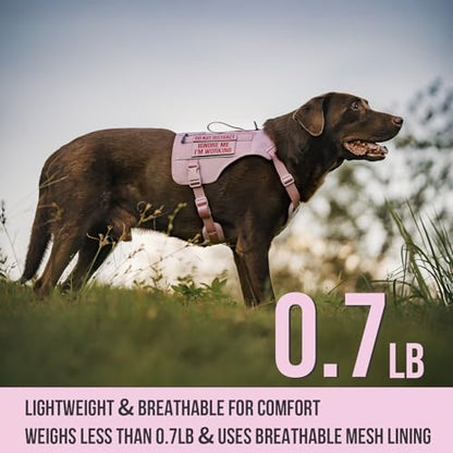 OneTigris Sentinel Pink Service Dog Vest with Patches, Reflective Lightweight Dog Harness for Medium Large Dogs (Pink, M: Neck 16-23", Chest 24-32") - color: Pink, size: M: Neck 16-23", Chest 24-32"
