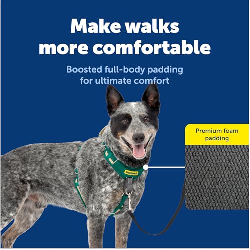 PetSafe Easy Walk Comfort No-Pull Dog Harness Full-Body Padding - Better Walks on the First Use - 5 Points of Adjustment Medium, Green - color: Green, size: Medium