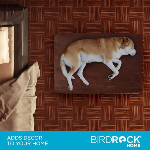 BIRDROCK HOME 2" Memory Foam Dog Bed | Ultra Soft Plush Pet Bed | Removable Cover | Pet | Crate Bed (34 x 22, Brown) - size: Medium