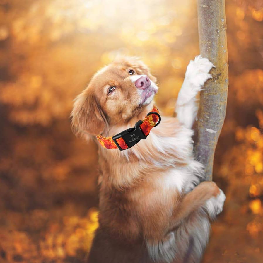 Fall Dog Collar, Gold Maple Leaves Pattern Fall Thansgiving Puppy Collar, Soft Adjustable Cotton Holiday Dog Collars for Small Medium Large Boy&Girl Dogs XS - color: Gold Maple Leaves, size: XS