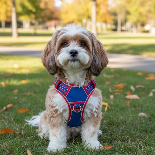 Small Dog Harness No Pull, Puppy Harness with 3 Quick Snap Buckles, Escape Proof Easy Walk Vest for Pug, Mini Schnauzer, Lightweight Tactical Pet Doggy Gear with Handle (S Size) - size: Small
