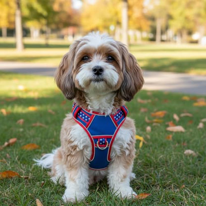 Small Dog Harness No Pull, Puppy Harness with 3 Quick Snap Buckles, Escape Proof Easy Walk Vest for Pug, Mini Schnauzer, Lightweight Tactical Pet Doggy Gear with Handle (S Size) - size: Small