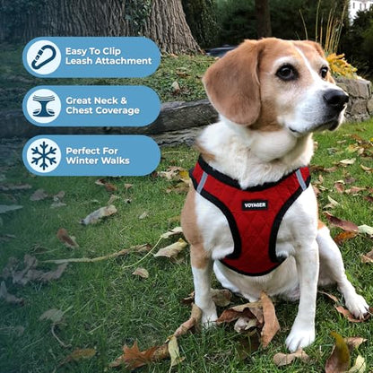 Best Pet Supplies Voyager Step-in Plush Dog Harness - Soft, Step in Vest Harness and Reflective Dog 5 ft Leash Combo with Neoprene Handle for Small and Medium Dogs, Red Plush, S - color: Harness Leash Set (Red Plush), size: S (Chest: 14.5 - 16")